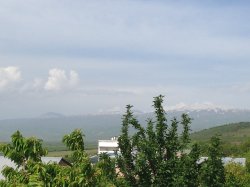 IMG_1128.JPG