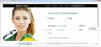 что-видно-в-вебвизоре.jpg