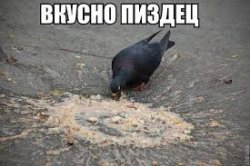 images.jpg