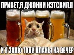 _9cTv8y5084[1].jpg