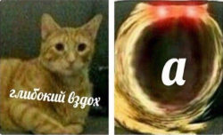 OgeKi-kJQcyOLlQWC8Nokw[1].png