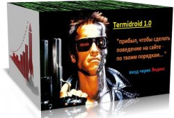 poster_termidroid1.0.jpg