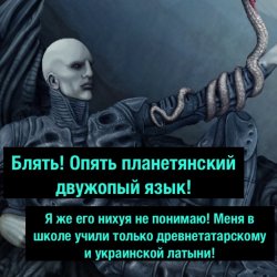 dl7aLO7-6NE.jpg