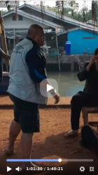 phone.png