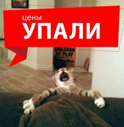 original.jpg original.jpg