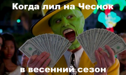 1garlic_spring23.png 1garlic_spring23.png