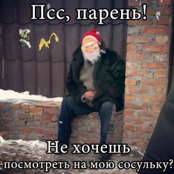 pss.jpg