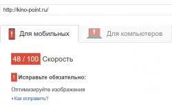 PageSpeed Insights 2.jpg