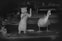 Dance_13.gif