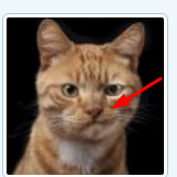 Screenshot (1).png