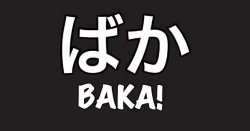 Baka_Cover_page[1].jpg