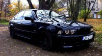 e39.jpg