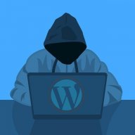 Wpsecure
