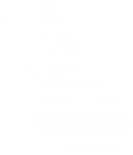 OrrisVPN