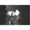 Smokers46
