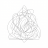 thep_lace