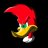 woodpecker