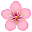 21c410d9532e6b71a83fc2c9506fb907.png