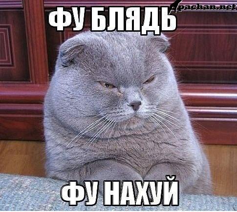 2bd12c7c8e16c349a2a5d35b600d2b2d.jpg