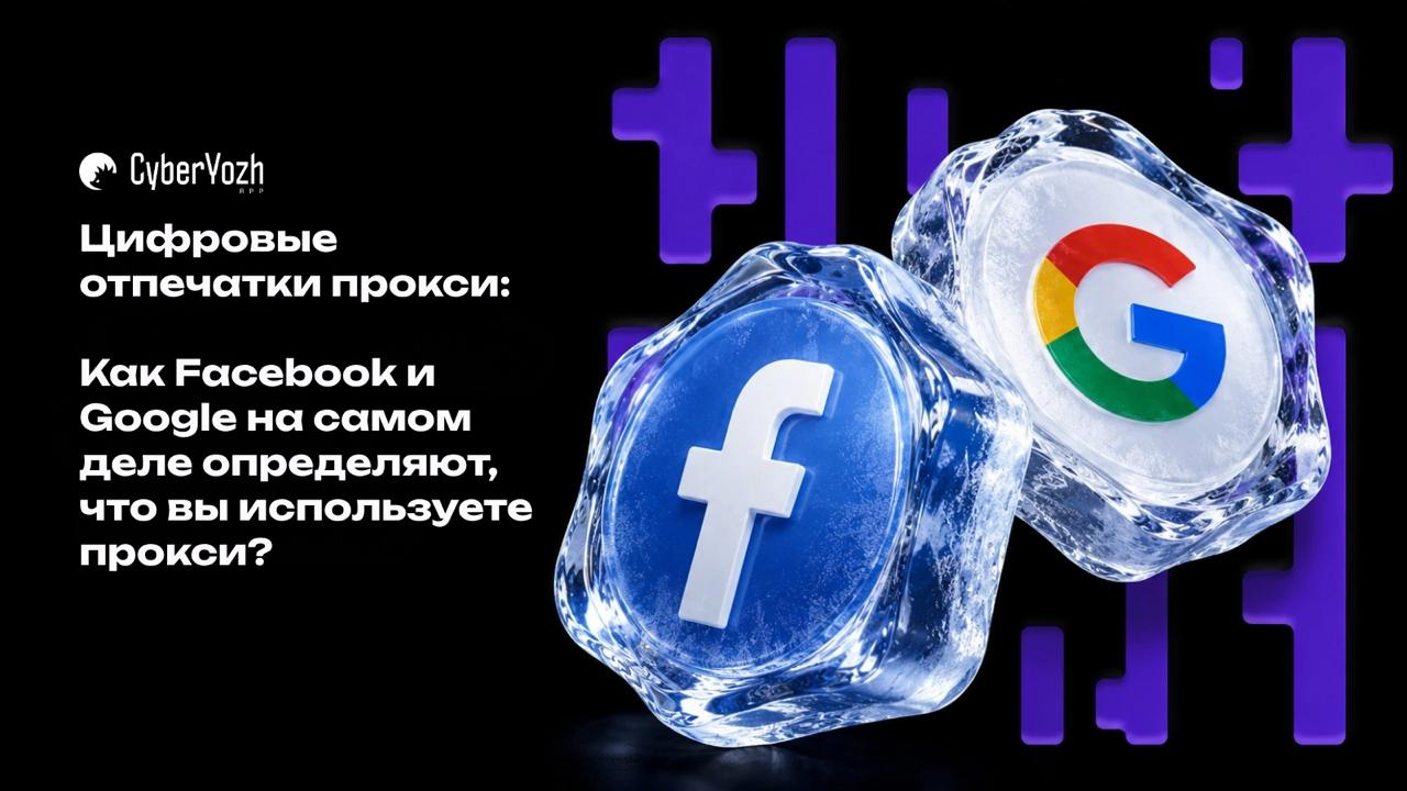d10370fa8e3cf31954225fee7ce52eaf.png