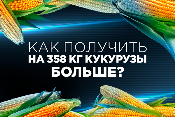 f9bcf3610e1e045c4459bc599927b980.png