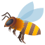 fcb2276a3556650c77a4c3fb0ecfdaa6.png