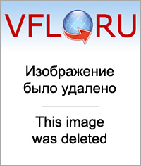 9866626.jpg